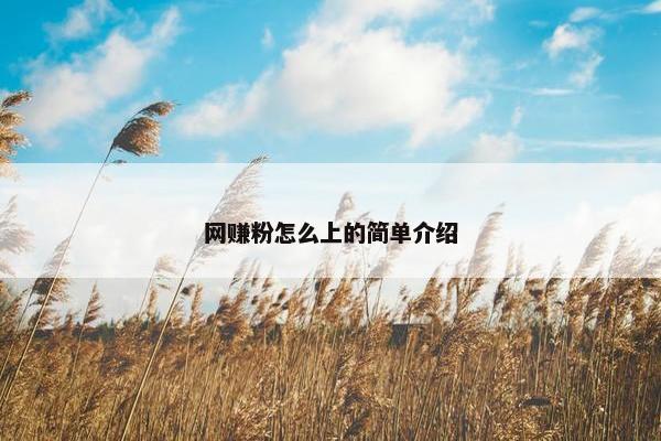 网赚粉怎么上的简单介绍