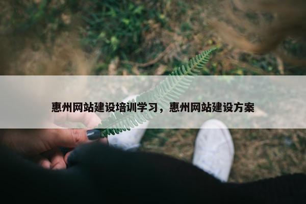 惠州网站建设培训学习，惠州网站建设方案