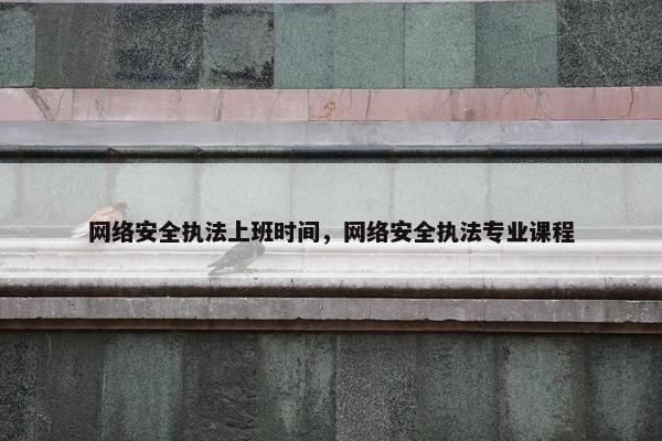 网络安全执法上班时间，网络安全执法专业课程