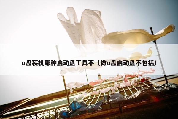 u盘装机哪种启动盘工具不（做u盘启动盘不包括）