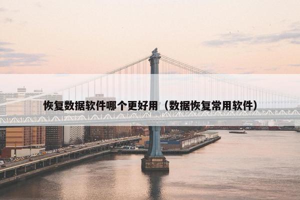 恢复数据软件哪个更好用（数据恢复常用软件）
