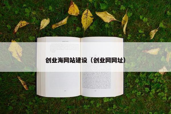 创业海网站建设（创业网网址）