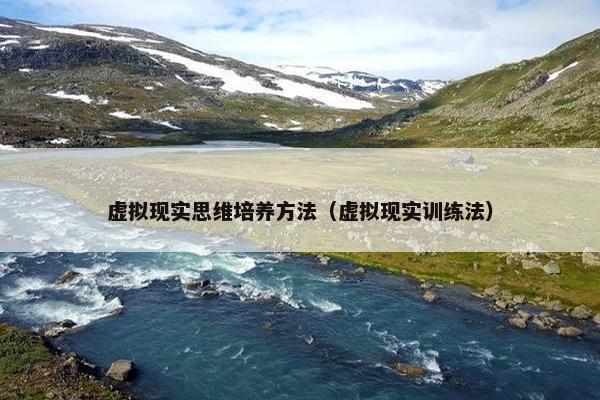 虚拟现实思维培养方法（虚拟现实训练法）