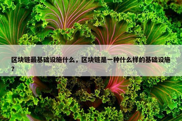 区块链最基础设施什么，区块链是一种什么样的基础设施?
