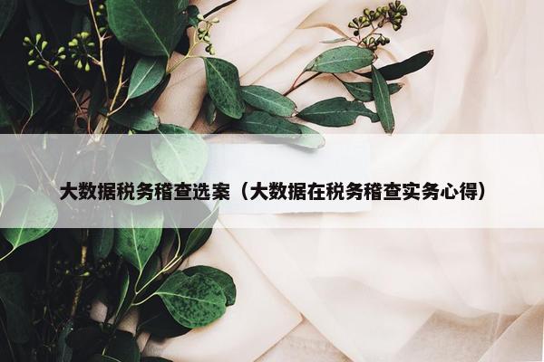 大数据税务稽查选案（大数据在税务稽查实务心得）