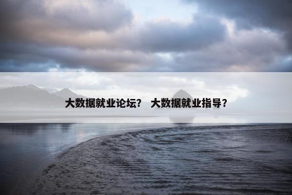 大数据就业论坛？ 大数据就业指导？