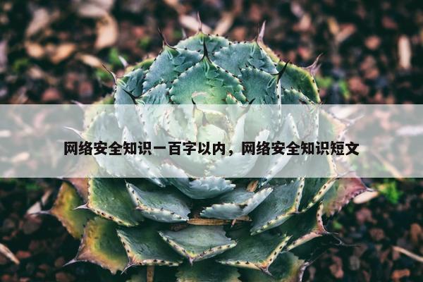 网络安全知识一百字以内，网络安全知识短文