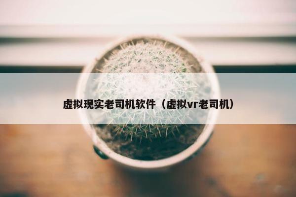 虚拟现实老司机软件（虚拟vr老司机）