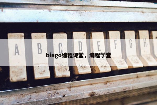 bingo编程课堂，编程学堂