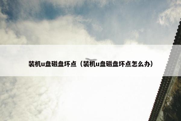 装机u盘磁盘坏点（装机u盘磁盘坏点怎么办）