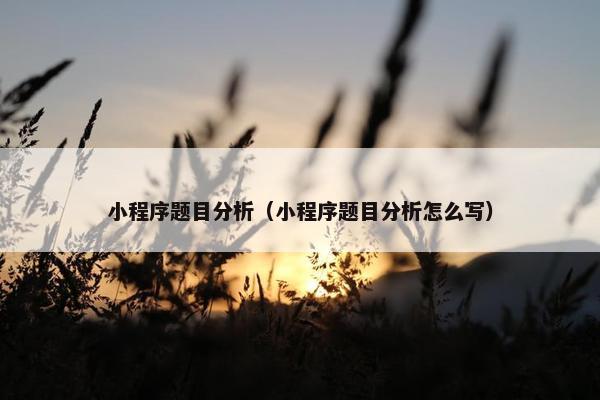 小程序题目分析（小程序题目分析怎么写）