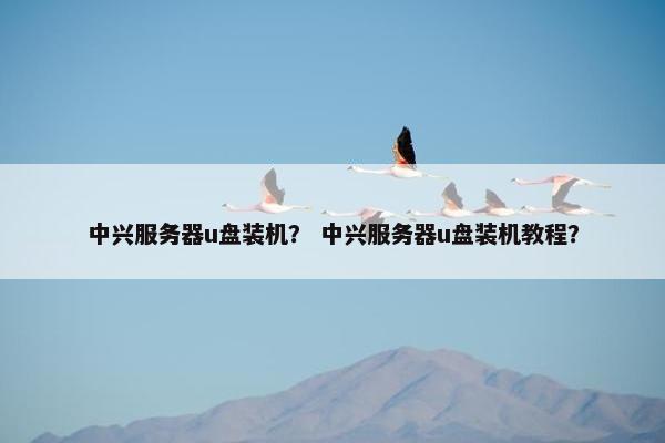 中兴服务器u盘装机？ 中兴服务器u盘装机教程？