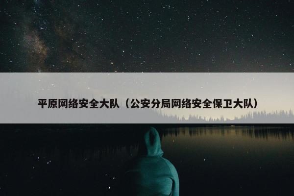 平原网络安全大队（公安分局网络安全保卫大队）
