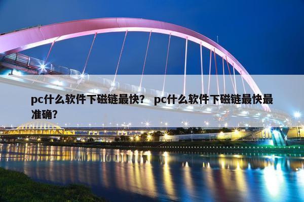 pc什么软件下磁链最快？ pc什么软件下磁链最快最准确？