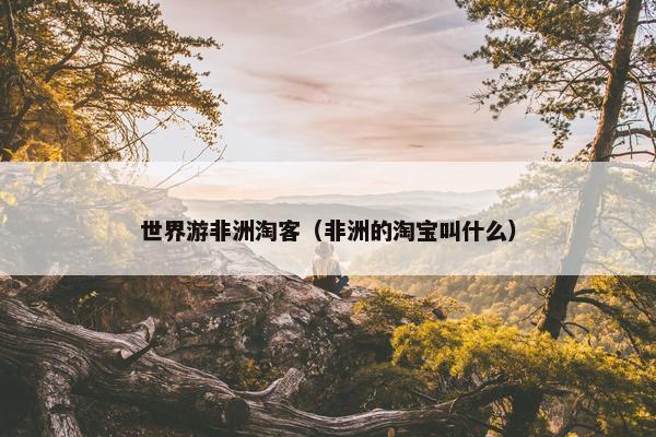 世界游非洲淘客（非洲的淘宝叫什么）