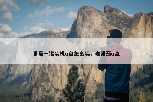 番茄一键装机u盘怎么装，老番茄u盘
