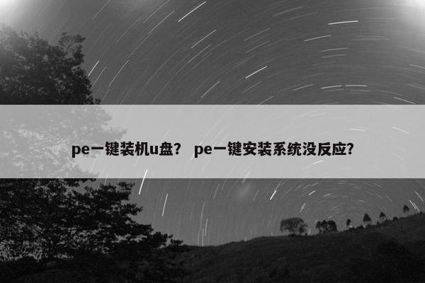 pe一键装机u盘？ pe一键安装系统没反应？