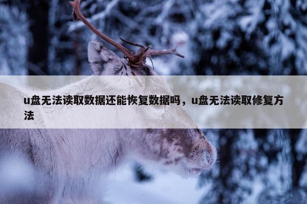 u盘无法读取数据还能恢复数据吗，u盘无法读取修复方法