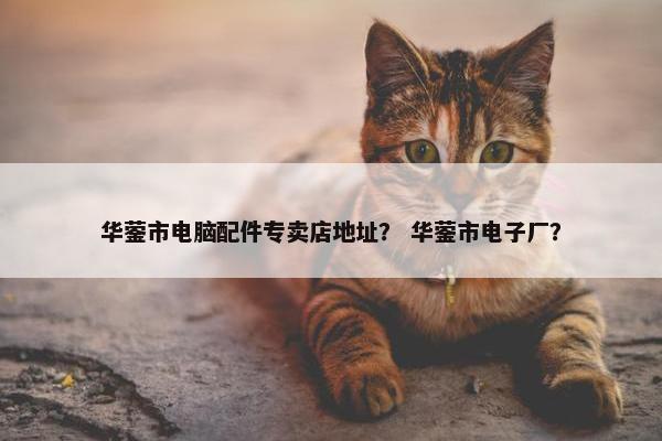 华蓥市电脑配件专卖店地址？ 华蓥市电子厂？