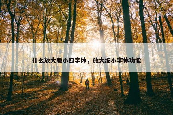 什么放大版小四字体，放大缩小字体功能