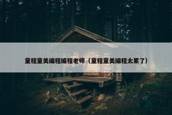 童程童美编程编程老师（童程童美编程太累了）