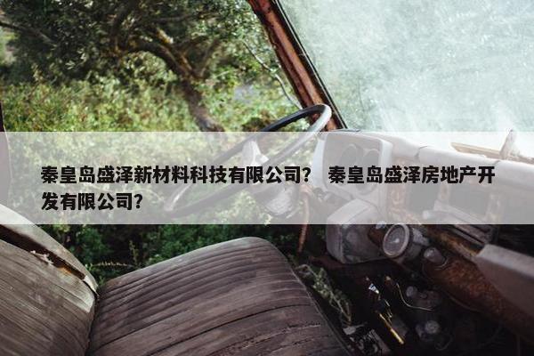 秦皇岛盛泽新材料科技有限公司？ 秦皇岛盛泽房地产开发有限公司？