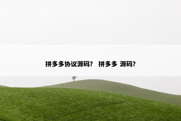 拼多多协议源码？ 拼多多 源码？