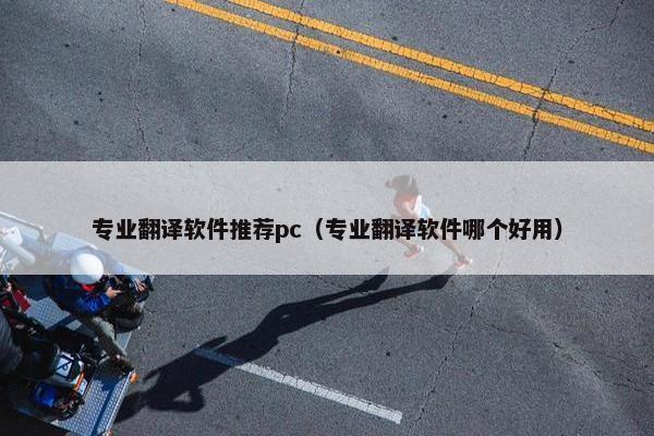 专业翻译软件推荐pc（专业翻译软件哪个好用）