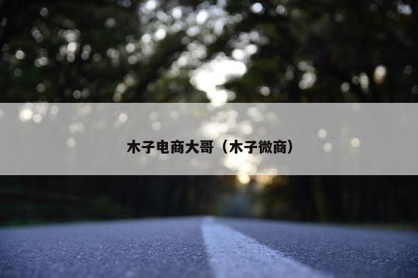 木子电商大哥（木子微商）