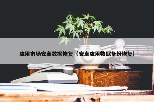 应用市场安卓数据恢复（安卓应用数据备份恢复）