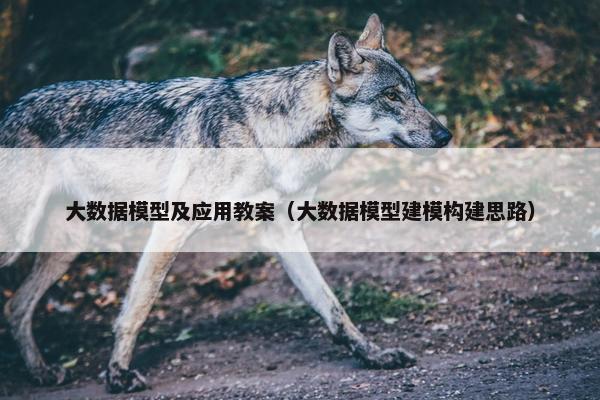 大数据模型及应用教案（大数据模型建模构建思路）