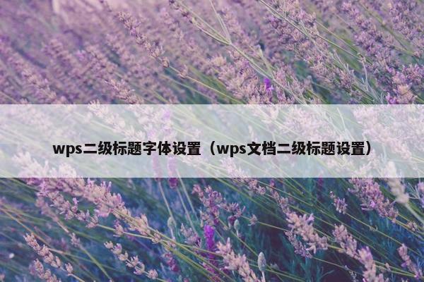 wps二级标题字体设置（wps文档二级标题设置）