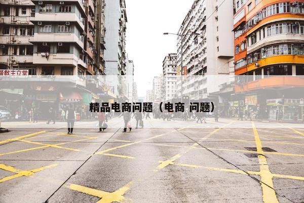 精品电商问题（电商 问题）
