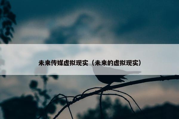 未来传媒虚拟现实（未来的虚拟现实）