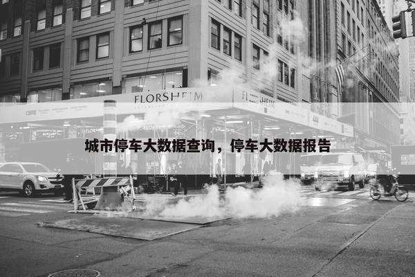 城市停车大数据查询，停车大数据报告