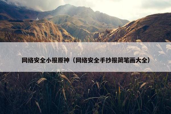 网络安全小报原神（网络安全手抄报简笔画大全）