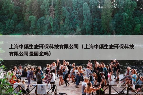 上海中渠生态环保科技有限公司（上海中渠生态环保科技有限公司是国企吗）