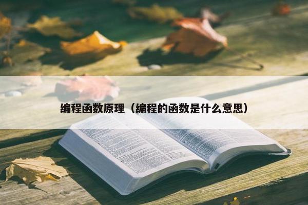 编程函数原理（编程的函数是什么意思）