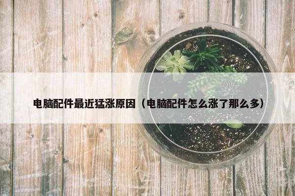 电脑配件最近猛涨原因（电脑配件怎么涨了那么多）