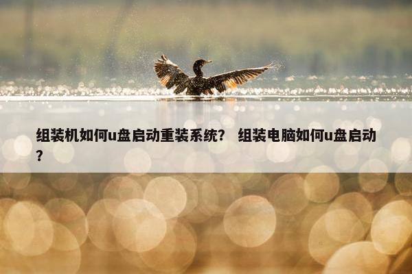 组装机如何u盘启动重装系统？ 组装电脑如何u盘启动？