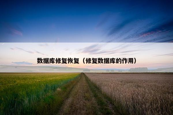 数据库修复恢复（修复数据库的作用）
