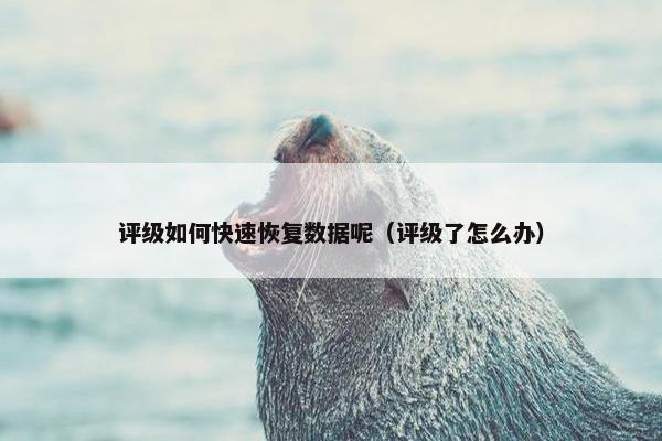 评级如何快速恢复数据呢（评级了怎么办）