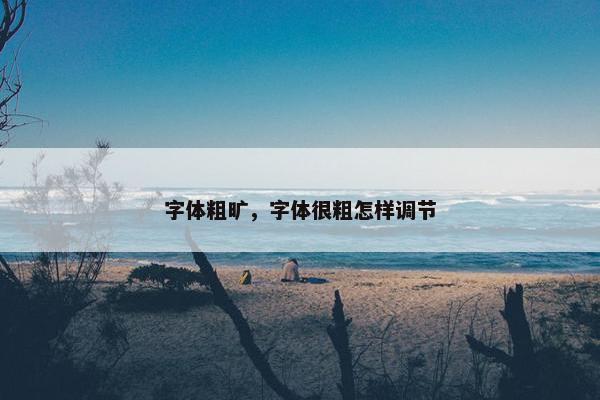 字体粗旷，字体很粗怎样调节