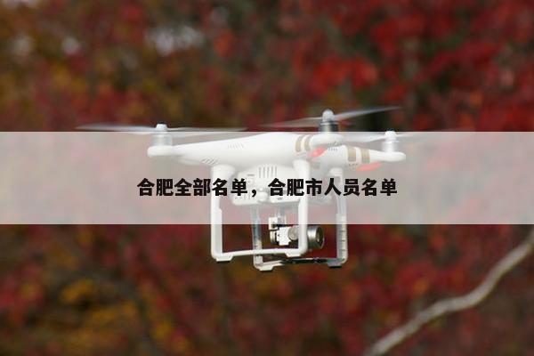 合肥全部名单，合肥市人员名单