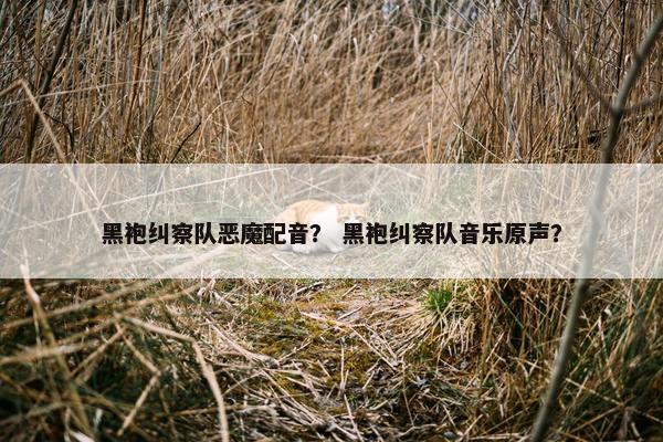 黑袍纠察队恶魔配音？ 黑袍纠察队音乐原声？