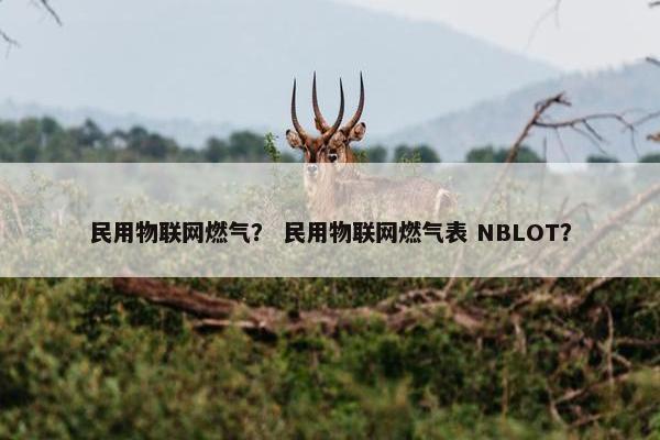 民用物联网燃气？ 民用物联网燃气表 NBLOT？