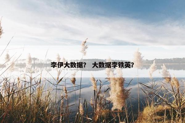 李伊大数据？ 大数据李铁英？