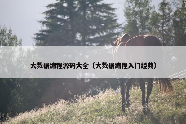 大数据编程源码大全（大数据编程入门经典）