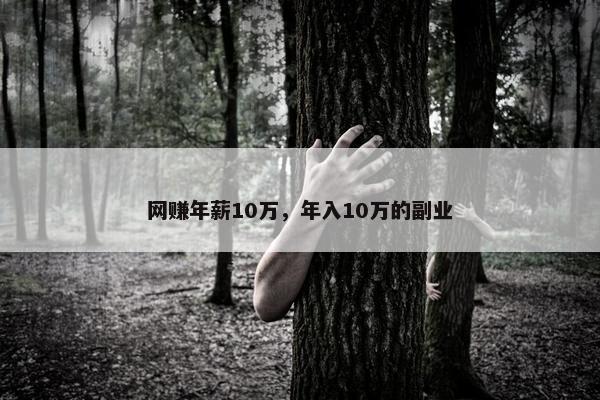 网赚年薪10万，年入10万的副业