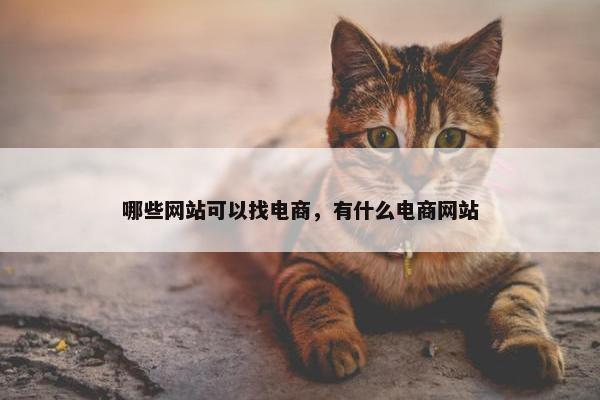 哪些网站可以找电商，有什么电商网站